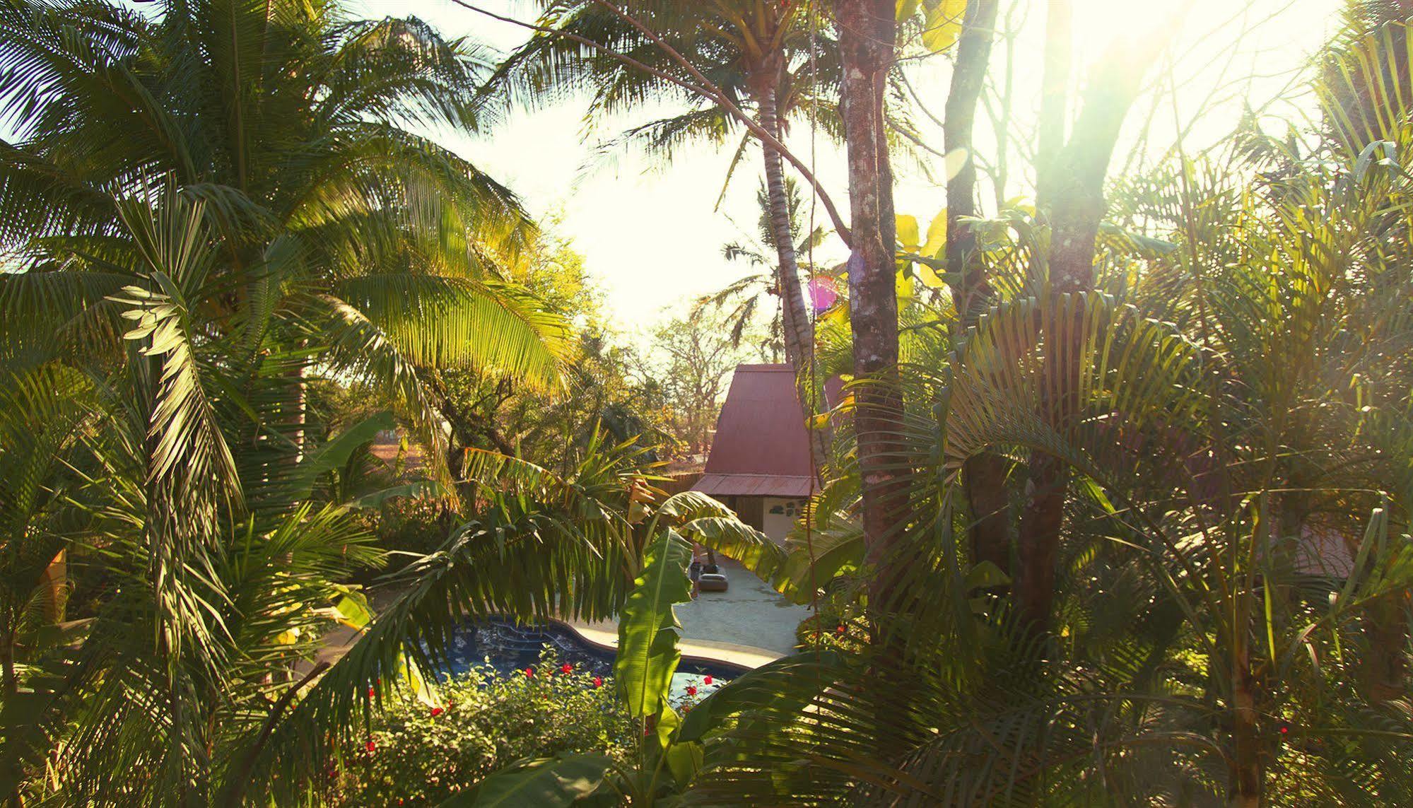 The Sunset Shack Hotel Nosara Exterior photo